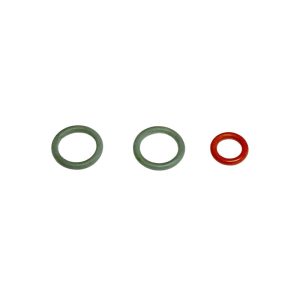 Delonghi O-Ring Set für Dampfdüse