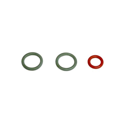 Delonghi O-Ring Set für Dampfdüse